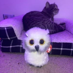 Kids stuffed owl. Cat not included 😭